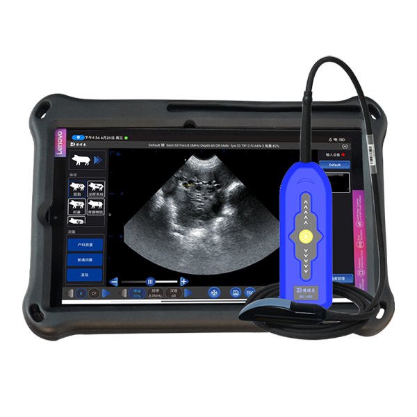 Ultrasound Bovine – High-Precision Cattle Imaging Solutions from Zhengzhou Boxianglai Electronic Sci-Tech Co., Ltd.