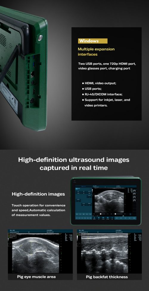 Veterinary Color Doppler Ultrasound Diagnostic  BXL-DZ20