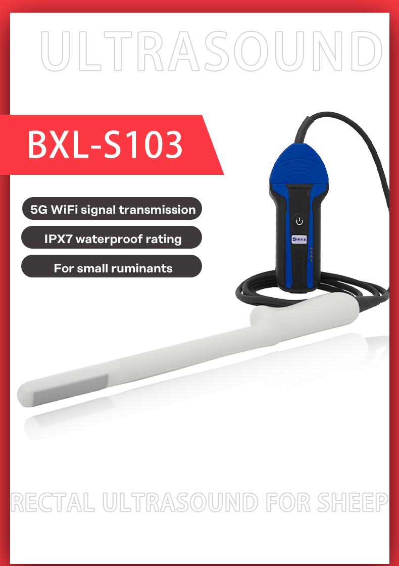 Wireless Ultrasound System For Sheep BXL-S103 lPX7