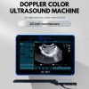 BXL-DB20 Color Doppler Cattle Horse OPU veterinary ultrasound