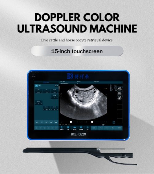 BXL-DB20 Color Doppler Cattle Horse OPU veterinary ultrasound