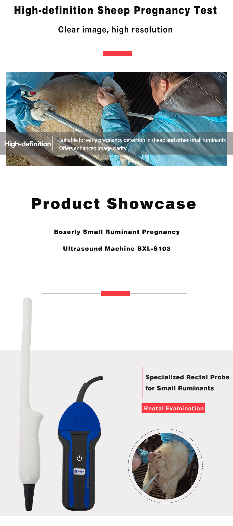 Wireless Ultrasound System For Sheep BXL-S103 lPX7