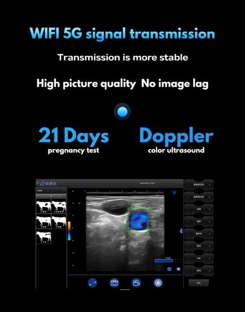 Wireless Portable Veterinary Doppler Ultrasound BXL-S200
