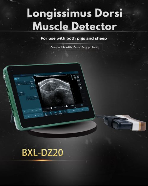 Veterinary Color Doppler Ultrasound Diagnostic  BXL-DZ20