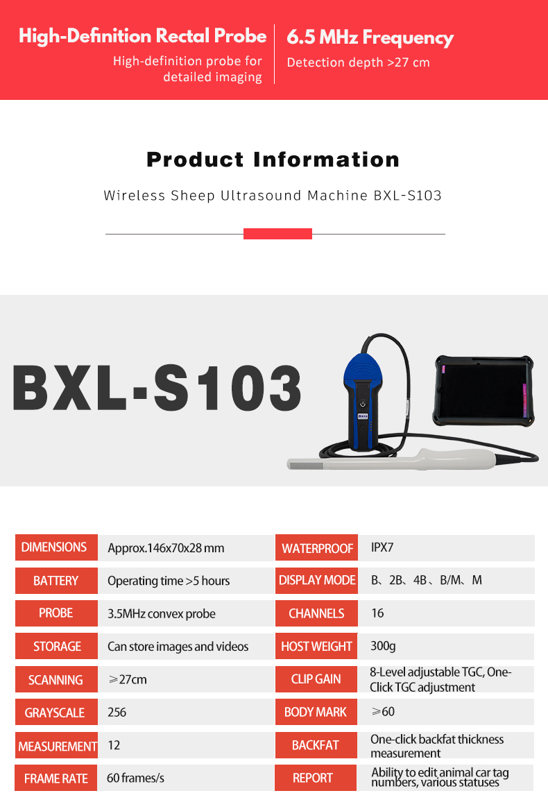Wireless Ultrasound System For Sheep BXL-S103 lPX7